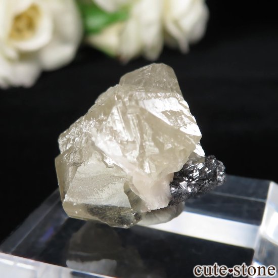 å Mibladen 륵Ȥθ No.1μ̿2 cute stone