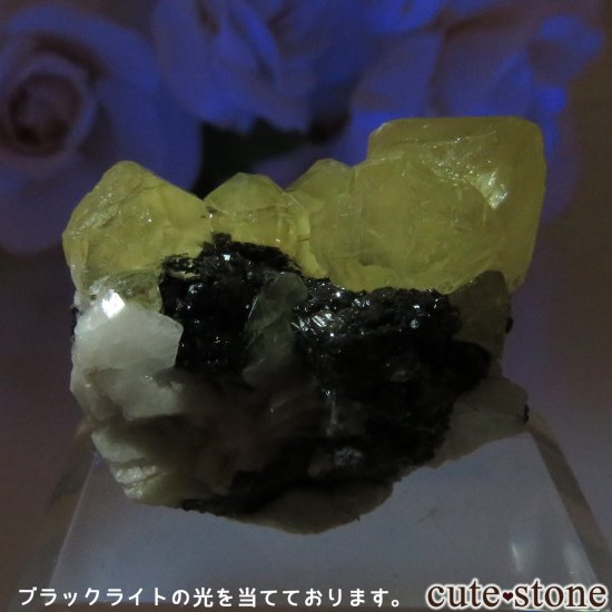 å Mibladen 륵Ȥθ No.2μ̿4 cute stone