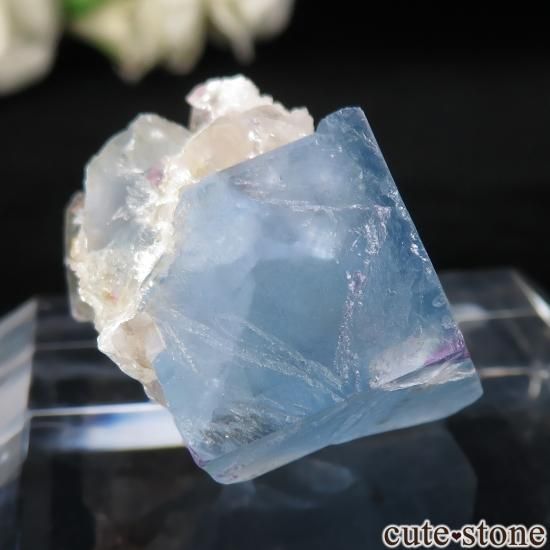 ե Le Beix Mine ֥롼ե饤  Ť٥μ̿0 cute stone