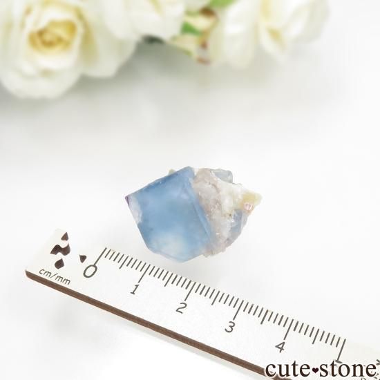 ե Le Beix Mine ֥롼ե饤  Ť٥μ̿3 cute stone