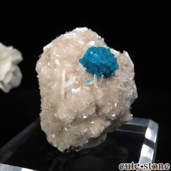  ץ͡ Х󥵥ȡƥХȤդ뾽ʸСNo.45μ̿0 cute stone