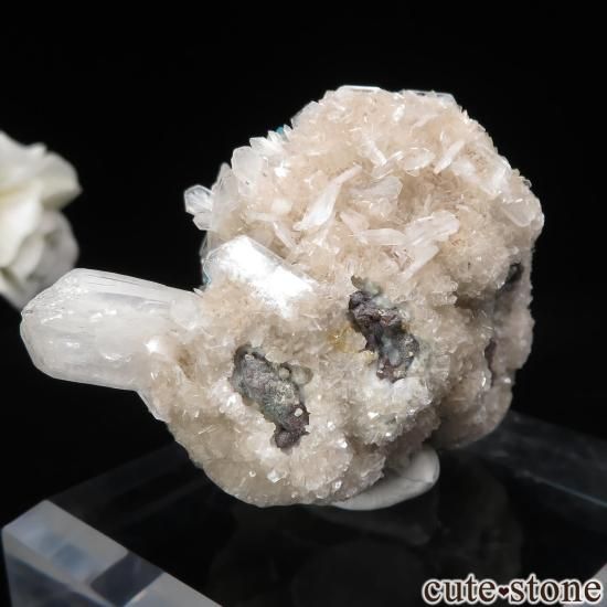  ץ͡ Х󥵥ȡƥХȤդ뾽ʸСNo.45μ̿1 cute stone