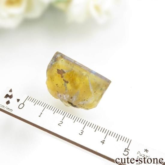 ե Valzergues ߥ֥롼ե饤Ȥη뾽ʸСNo.18μ̿3 cute stone