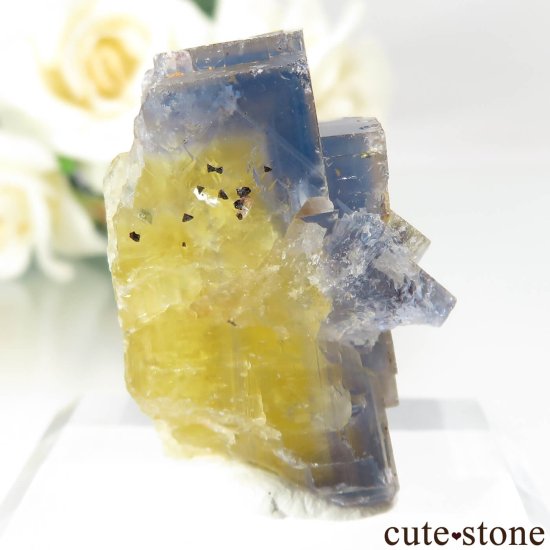 ե Valzergues ߥ֥롼ե饤Ȥη뾽ʸСNo.19μ̿0 cute stone