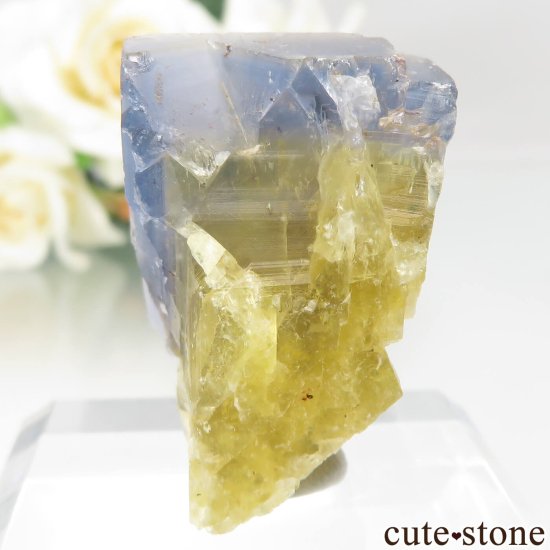 ե Valzergues ߥ֥롼ե饤Ȥη뾽ʸСNo.19μ̿1 cute stone