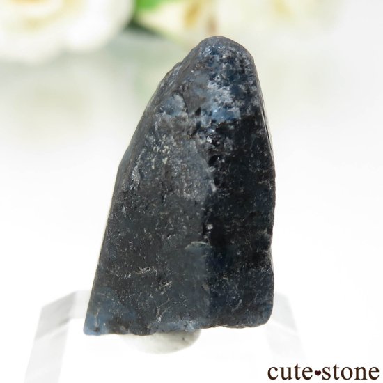 ե˥ Хե㡼 եʥȸ No.17μ̿2 cute stone