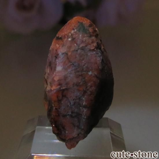 ե˥ Хե㡼 եʥȸ No.17μ̿3 cute stone