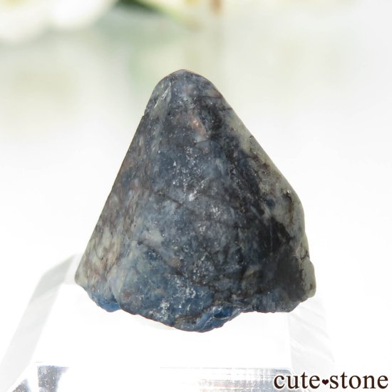 ե˥ Хե㡼 եʥȸ No.18μ̿2 cute stone