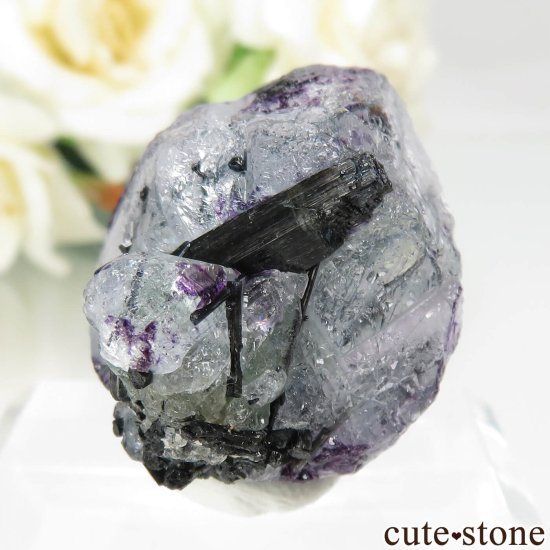 ʥߥӥ 󥴻 ꡼ߥѡץߥ֥롼ե饤ȡ֥åȥޥθ No.15μ̿0 cute stone