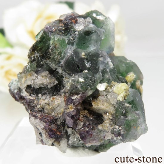 ʥߥӥ 󥴻 ꡼ե饤ȡ⥹ХȤθ No.16μ̿0 cute stone
