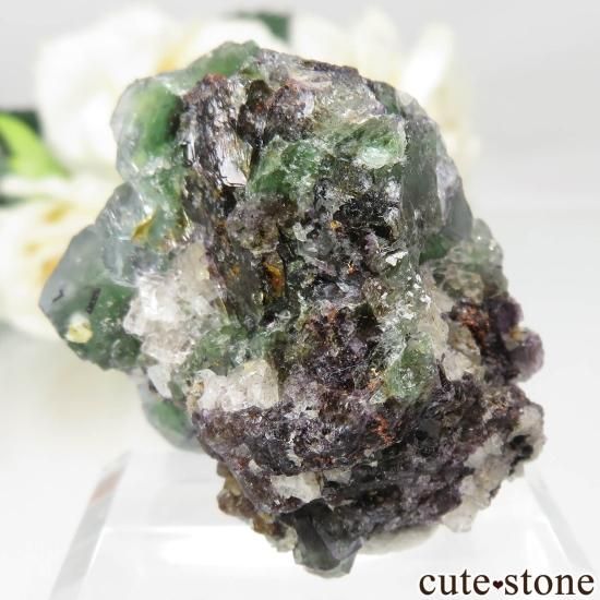 ʥߥӥ 󥴻 ꡼ե饤ȡ⥹ХȤθ No.16μ̿1 cute stone