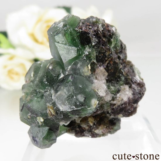 ʥߥӥ 󥴻 ꡼ե饤ȡ⥹ХȤθ No.16μ̿2 cute stone