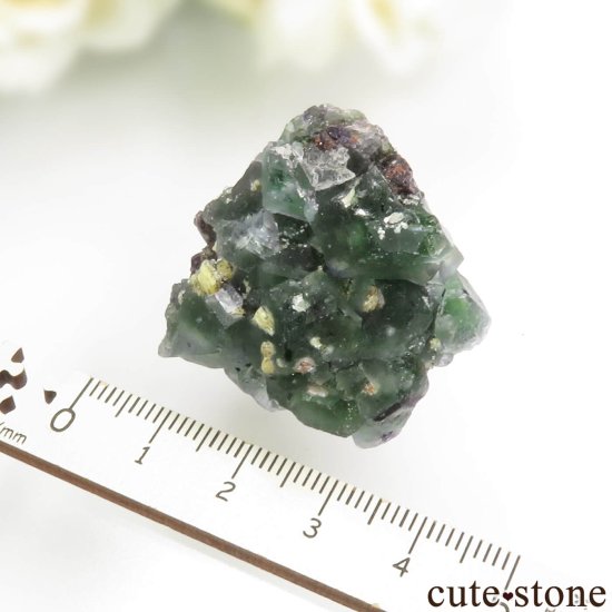 ʥߥӥ 󥴻 ꡼ե饤ȡ⥹ХȤθ No.16μ̿3 cute stone