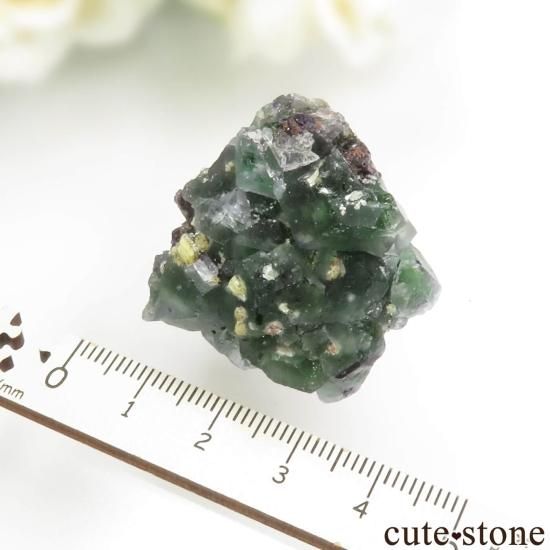 ʥߥӥ 󥴻 ꡼ե饤ȡ⥹ХȤθ No.16μ̿3 cute stone