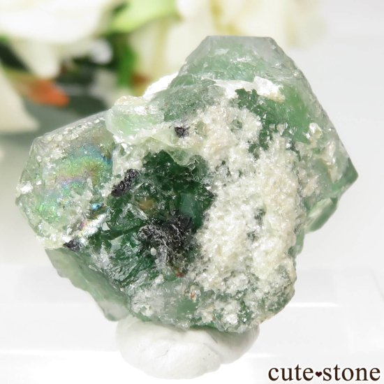 ʥߥӥ 󥴻 ꡼⥹ХȤθ No.17μ̿1 cute stone