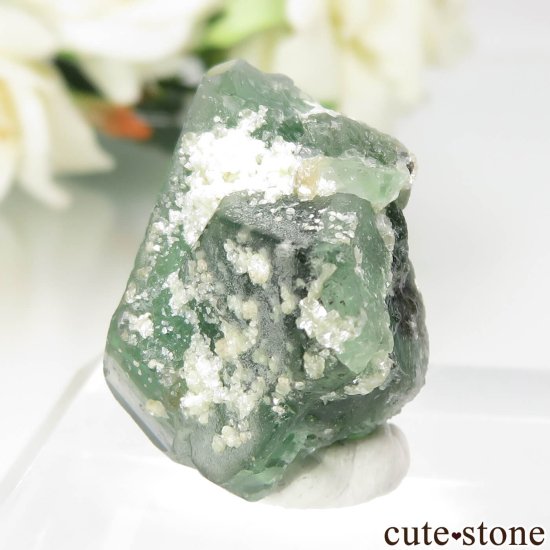 ʥߥӥ 󥴻 ꡼⥹ХȤθ No.17μ̿2 cute stone