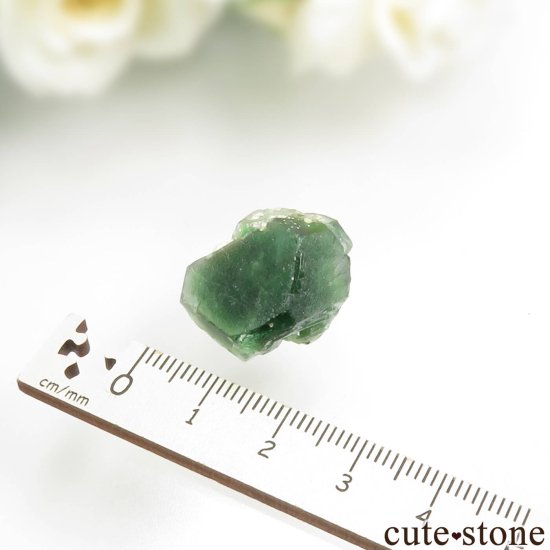 ʥߥӥ 󥴻 ꡼⥹ХȤθ No.17μ̿3 cute stone