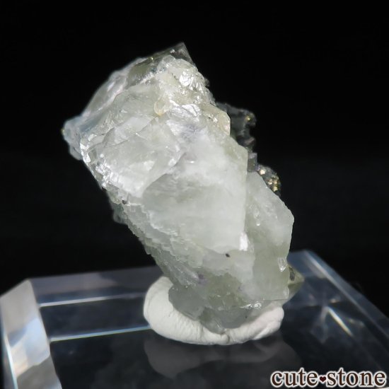 ɥ Niederschlag mine ߥ֥롼ե饤ȡ륳ѥ饤Ȥθ No.6μ̿0 cute stone