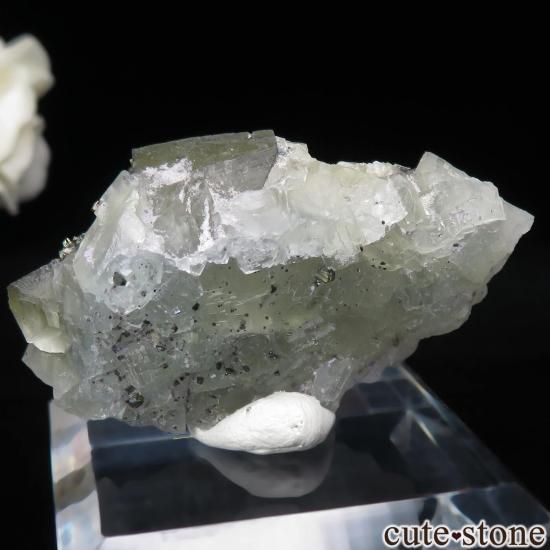 ɥ Niederschlag mine ߥ֥롼ե饤ȡ륳ѥ饤Ȥθ No.6μ̿1 cute stone