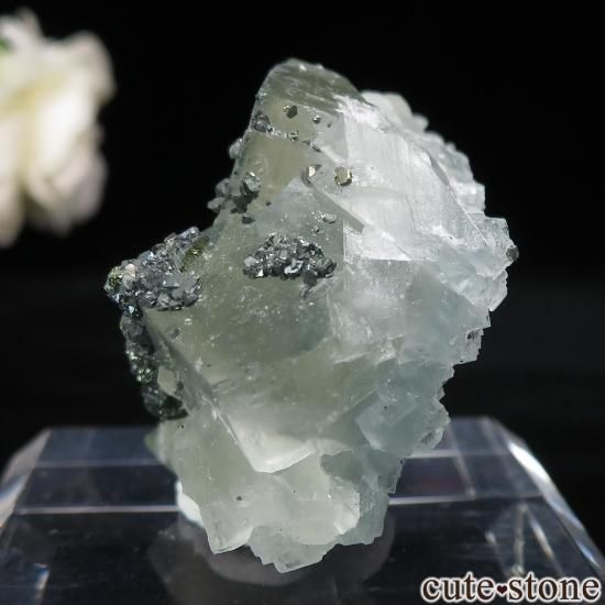 ɥ Niederschlag mine ߥ֥롼ե饤ȡ륳ѥ饤Ȥθ No.6μ̿2 cute stone