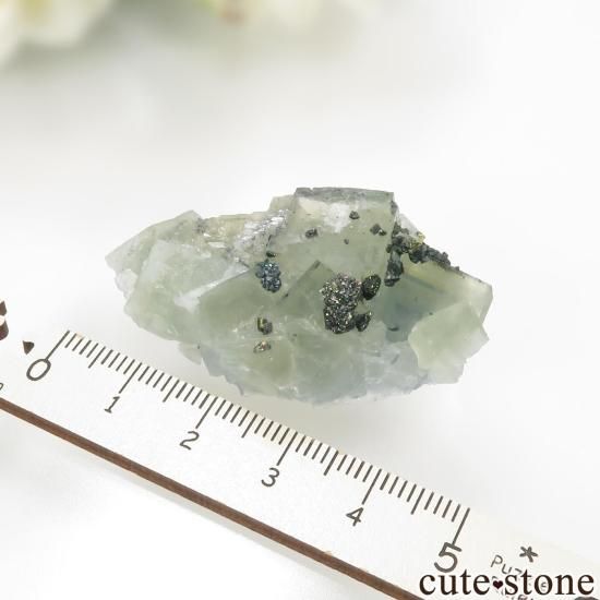 ɥ Niederschlag mine ߥ֥롼ե饤ȡ륳ѥ饤Ȥθ No.6μ̿4 cute stone