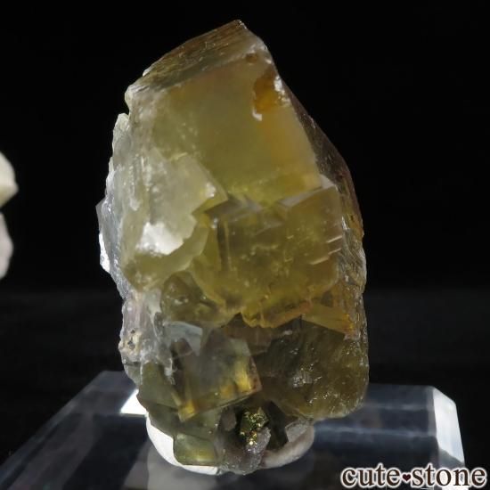 ɥ Niederschlag mine ߥ֥롼ե饤ȡ륳ѥ饤Ȥθ No.7μ̿0 cute stone
