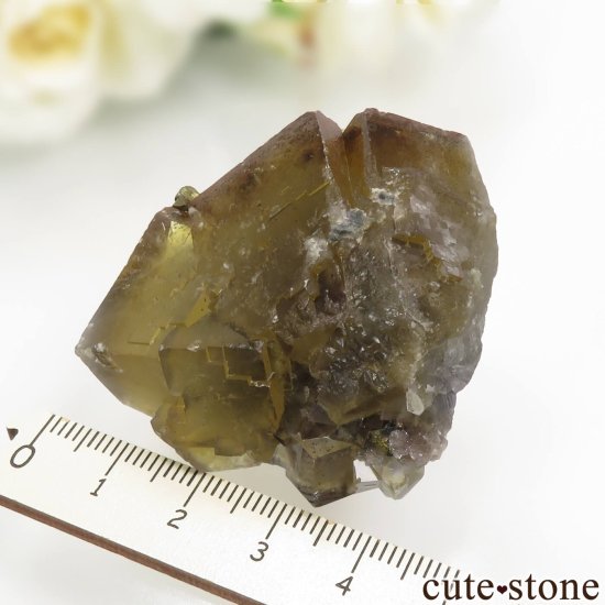ɥ Niederschlag mine ߥ֥롼ե饤ȡ륳ѥ饤Ȥθ No.7μ̿3 cute stone