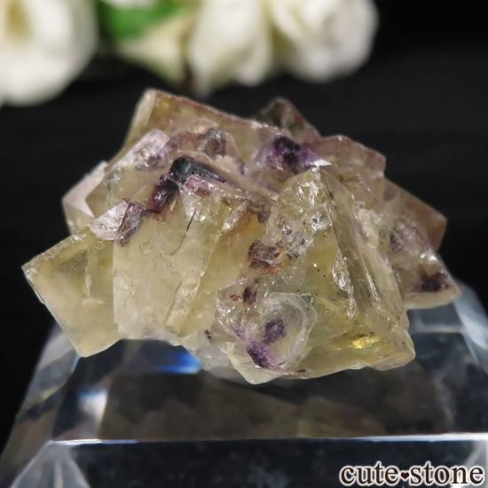 ɥ Niederschlag mine ߥѡץե饤Ȥθ No.8μ̿0 cute stone