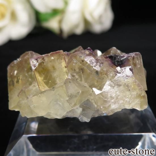 ɥ Niederschlag mine ߥѡץե饤Ȥθ No.8μ̿1 cute stone