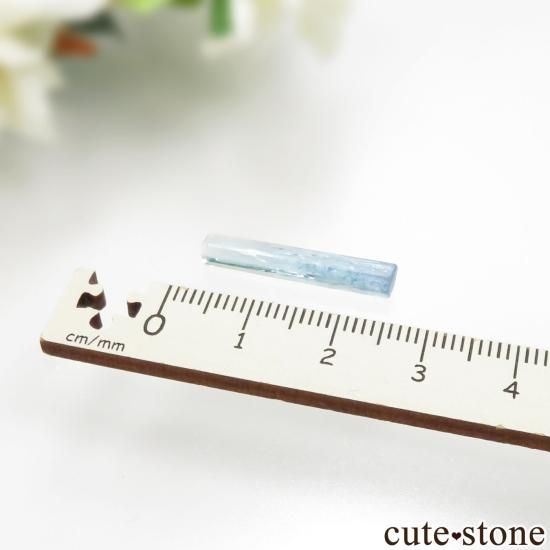 ✨未使用・保管品！✨プラソニエ アクアナノ +ピコ CE Acro Pink Spathulata No.1 - 海水魚専門店 ceppo onlinestore