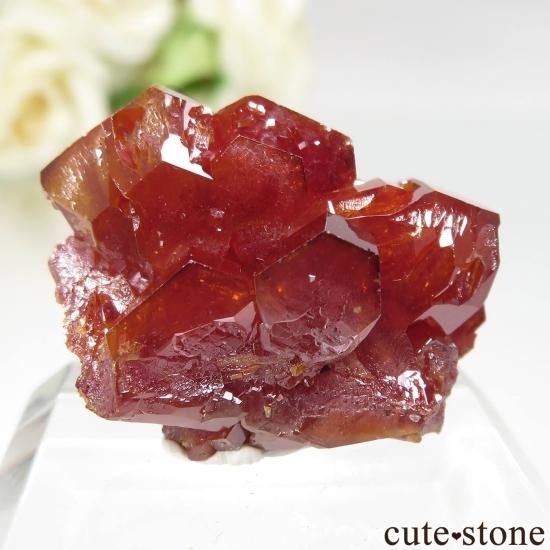 å ACF Mine ХʥʥȤθ No.17