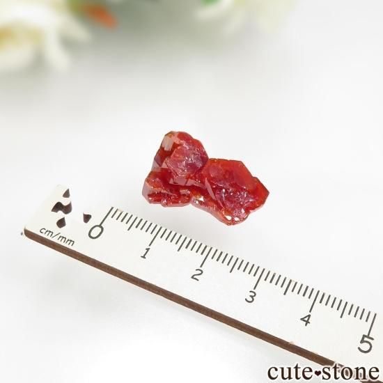 å ACF Mine ХʥʥȤθ No.18μ̿1 cute stone