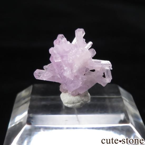 ѥ Kunar ԥ󥯥ѥȤθ No.1