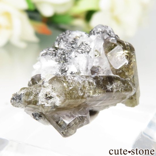 󥶥˥ ˻ ȡѥ饤Ȥθ No.104μ̿0 cute stone