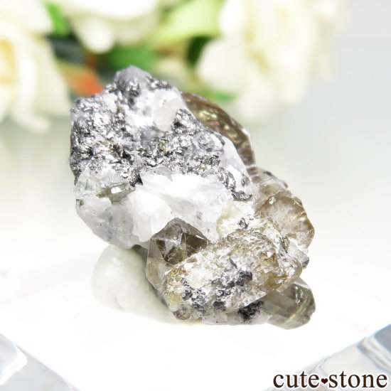 󥶥˥ ˻ ȡѥ饤Ȥθ No.104μ̿1 cute stone