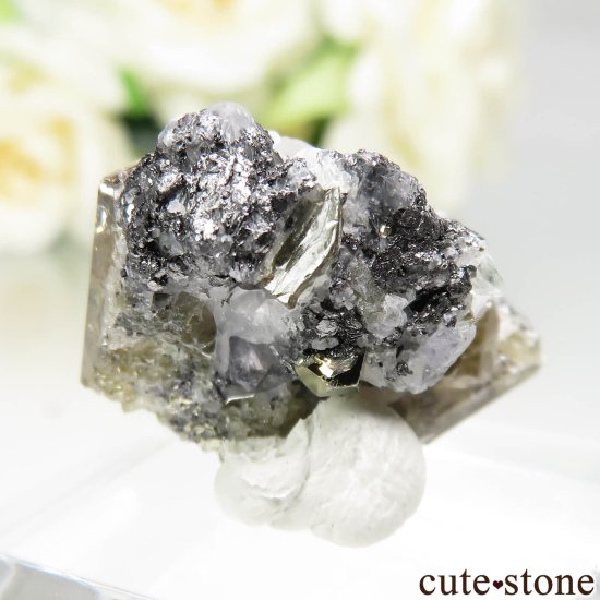 󥶥˥ ˻ ȡѥ饤Ȥθ No.104μ̿2 cute stone