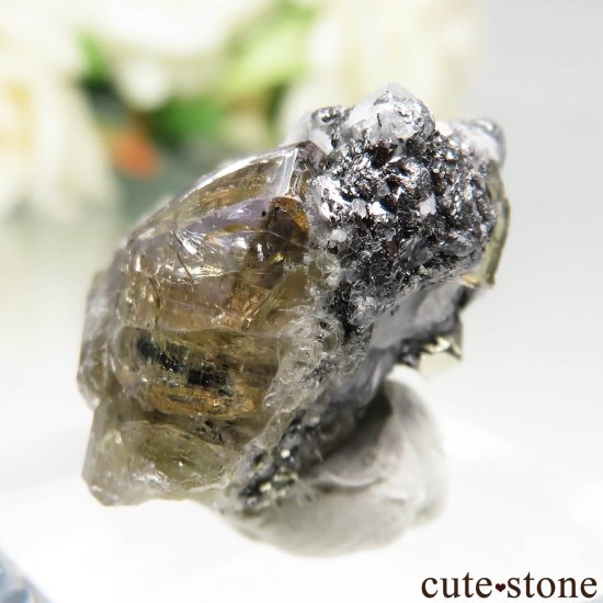 󥶥˥ ˻ ȡѥ饤Ȥθ No.104μ̿3 cute stone