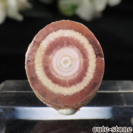 アルゼンチン産ロードクロサイト（インカローズ）のスライス(原石