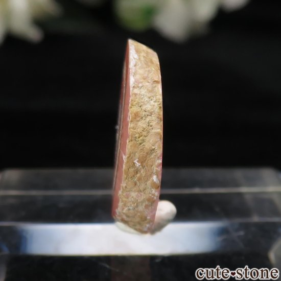 를 Capillitasɥȡʥ󥫥ˤΥ饤() No.8μ̿2 cute stone