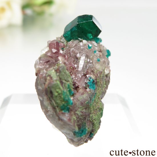 ʥߥӥ Tsumeb MineΥץơĤդ No.5μ̿0 cute stone