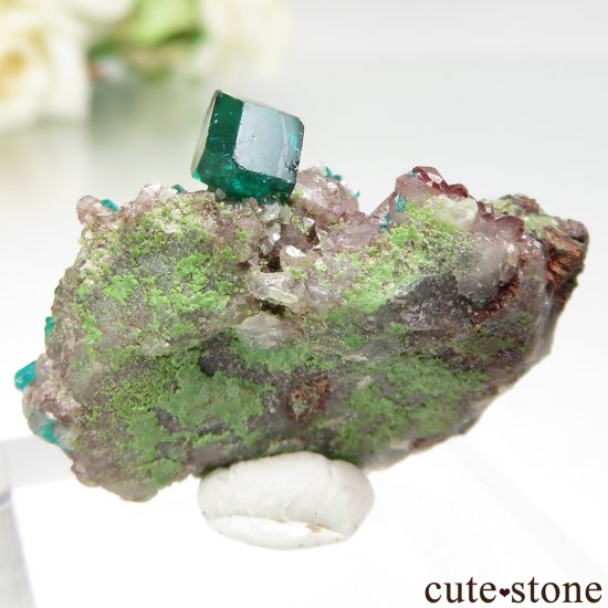 ʥߥӥ Tsumeb MineΥץơĤդ No.5μ̿1 cute stone