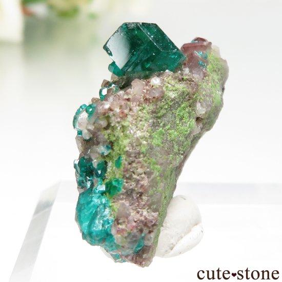 ʥߥӥ Tsumeb MineΥץơĤդ No.5μ̿2 cute stone