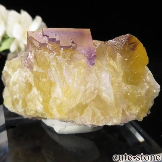 Υ Cave-In-Rock ߥѡץե饤Ȥθ No.27μ̿1 cute stone