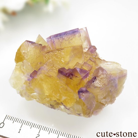 Υ Cave-In-Rock ߥѡץե饤Ȥθ No.27μ̿4 cute stone