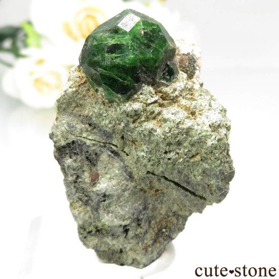 イラン Belqeys Mountain産のデマントイドガーネットの原石 No.21 - cute stone -