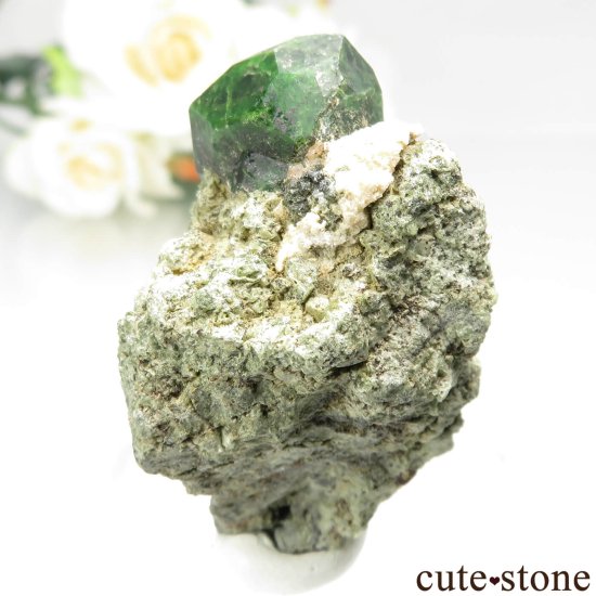  Belqeys MountainΥǥޥȥɥͥåȤθ No.21μ̿2 cute stone