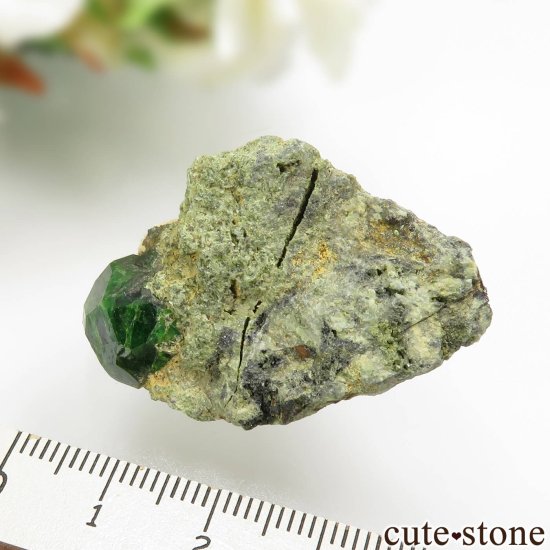  Belqeys MountainΥǥޥȥɥͥåȤθ No.21μ̿3 cute stone