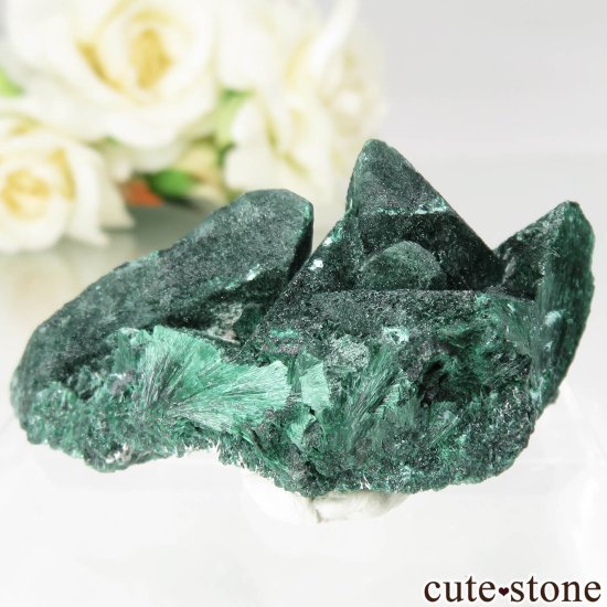 メキシコ Milpillas Mine産 マラカイト アフター アズライト No.4の写真1 cute stone