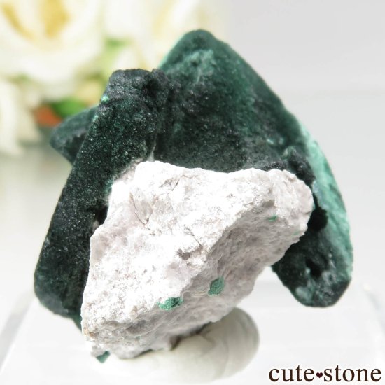 メキシコ Milpillas Mine産 マラカイト アフター アズライト No.5の写真2 cute stone