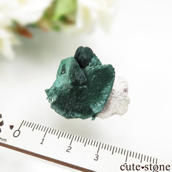 メキシコ Milpillas Mine産 マラカイト アフター アズライト No.5の写真3 cute stone